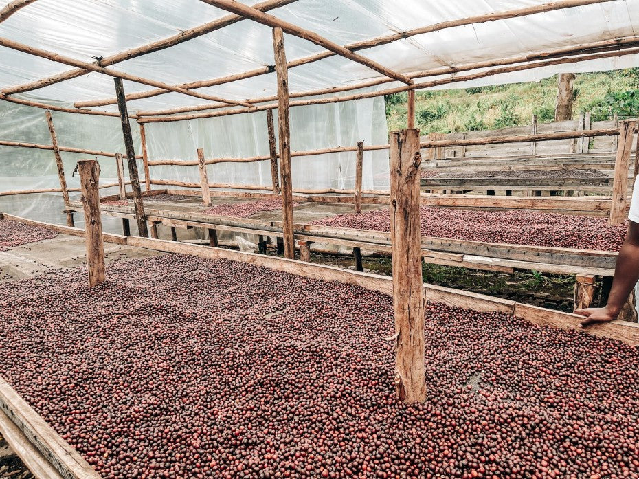 Single Origin: Kwezi Natural - Drugar Premium (250g)