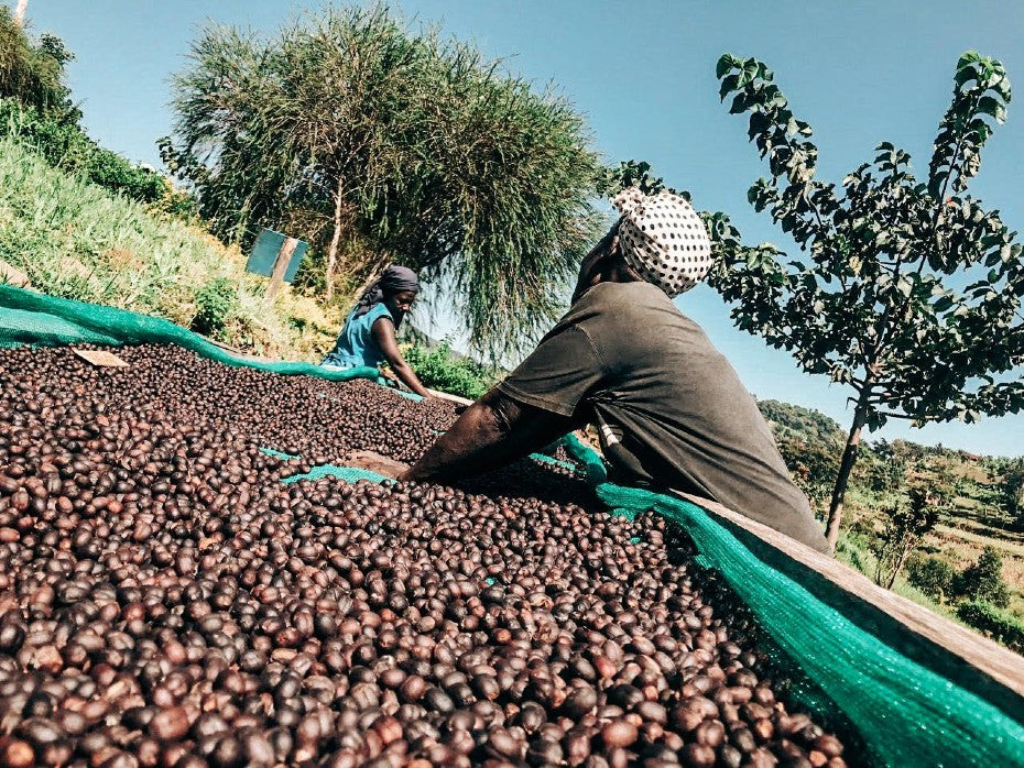 Single Origin: Kwezi Natural - Drugar Premium (250g)